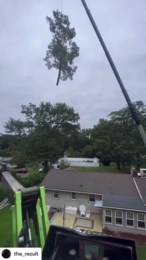 #treeguy #treeguys #treelifebelike #treeclimbersoftiktok #reapercrew #cranegame #treereaper #savatree
