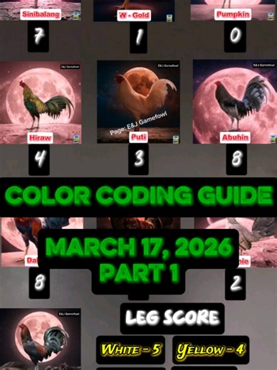 March 17 Color Code Guide #patukatips #chickenbreed #fyp