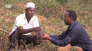 Ambitious goals for reforestation in Rwanda
