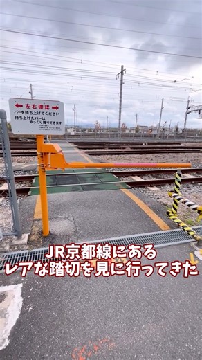 [I went to see a rare railroad crossing on the JR Kyoto Line]