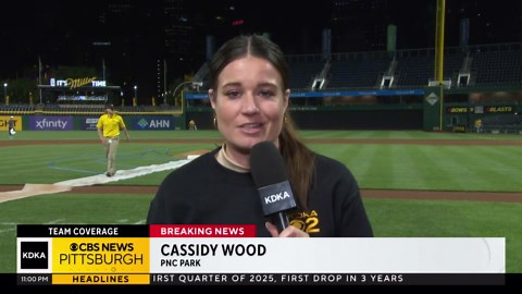 Fan falls from stands at PNC Park in Pittsburgh during Cubs-Pirates game