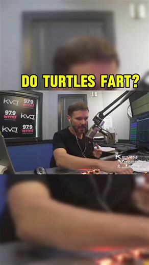 Do turtles fart? We handle the important nature questions. #turtle #fart #nature #animal #tortuga #foryou #foryoupage | The KVJ Show