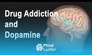 Mind Luster - Learn Mechanism of Drug Addiction in the Brain Animation