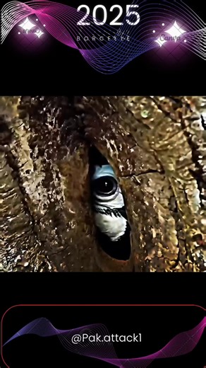 #film #hollywood #movie #story #viral #tiktok #fyp #foryou #foryoupage #film