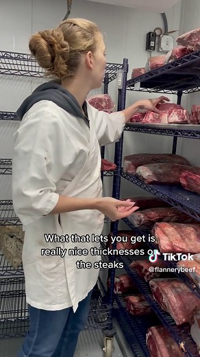 Holstein Cattle: The Choice for Prime Beef