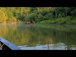 57 mile overnight canoe trip on the Big Manistee River - June 2024