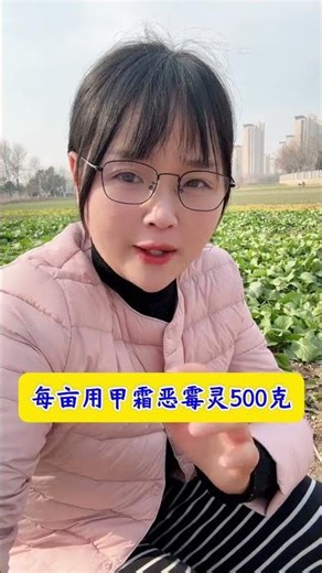 Root rot formula #Agriculture#Agricultural planting#Share agriculture#Root rot#Prevention