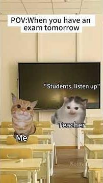 CAT MEMES🐱When you have an exam tomorrow #catmemes #memes #funnymemes #funny #foryou #relationship