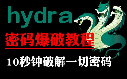 【Hydra九头蛇】10秒钟破解一切账号密码，Hydra傻瓜教程（附安装包&字典/hydra使用教程/hydra九头蛇/网络安全/黑客）