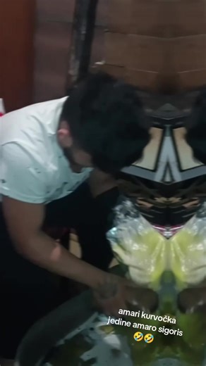 Kikuska Kika (@kikuska.kika2)’s videos with original sound - Donado