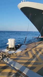 Bone Crushing sound 🤔 #marinerlife | Merchant Navy