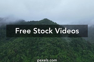 Free Cara Download Video Di Pexels Videos