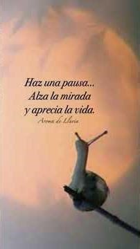 Wolfgang. Amadeus Mozart - Piano Concierto No. 21 - Andante