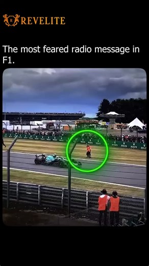 revelite_21 on Instagram: "Silverstone F1 track invaders sentenced for causing public nuisance. A group of Just Stop Oil protesters have been sentenced for their part in a track invasion at the Formula 1 British Grand Prix last year . Follow for more @revelite_21 . . . . . . #cars #f1 #formula1 #carfacts #LewisHamilton #racing"
