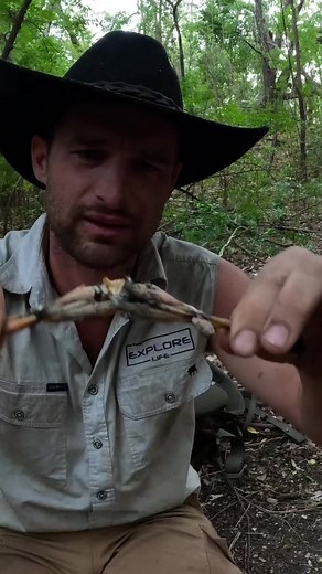 Australian Survivalist Cooks and Eats Cane Toad Legs - Primitive Survival