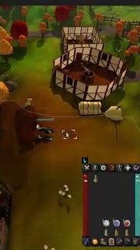 Guide On The Character Model Bug On Runescape!
