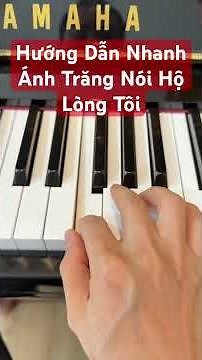 Quick Piano Solo Tutorial - The Moon Represents My Heart #tuanluupiano #shorts