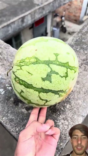 Experiment: Will a watermelon explode if it rolls off a tall .. #basherscience