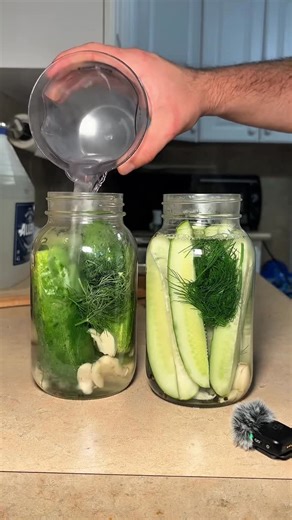 Matthew Machado on Instagram: "Easiest Homemade Pickle Recipe! 🥒 Brine: 3 cups Water 2 cups Vinegar 60g Salt Make sure to like and share to support my page! #reels #picklerecipe #dillpickles #picklebrine"