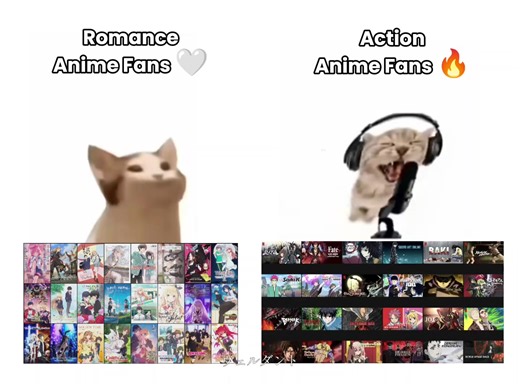 Discover the Two Types of Anime Fans