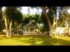 City park - Sound effect 🎧