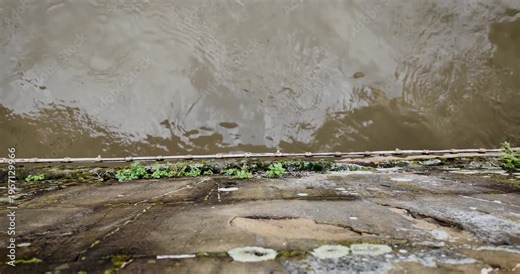 Top-down shot from Ponte Vecchio showing the Arno River flow, slowed in the middle section, highlighting water movement and the stone architecture of this iconic Florence bridge.