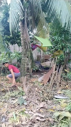 18K views · 77 reactions | #reelsfb #highlights ...Dako sa Banakon | Jason Jay | Facebook