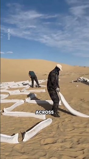 How China Turns Deserts Green Using Simple Sand Grid Technology