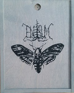 Enisum - Moth's Illusion