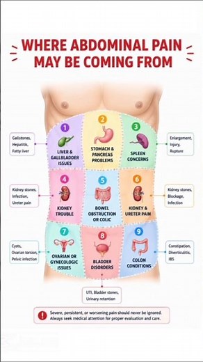 💭 Identify Your Pain Location Fast and Learn the Source of Discomfort 🔎#healthawareness #viralvideo