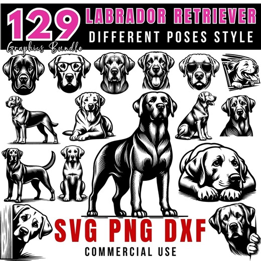 Labrador Retriever SVG Bundle | Hunting Dog Silhouettes & Clipart | Png, Dxf Instant Download - Etsy