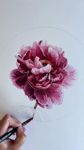 Hanakisoi Peony: A Stunning Watercolor Artwork