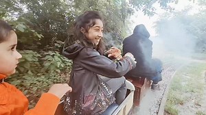 26 reactions | Little Steam Train In Forest #Mydreamtrain #train #locomotive #steam | My Dream train | Facebook