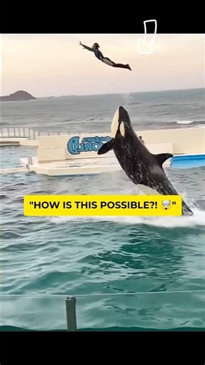 Insane Ocean Animal Stunts! 🌊🤯
