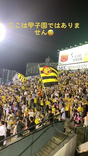 #猛虎 #阪神ファン