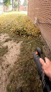 1.5M views · 5K reactions | Satisfying Leaf blowing  Fall is here!! #leafblower #cleanup #cleaning #cleaninghacks #landscaping #oddlysatisfying #satisfyingvideos #lawncareservice | Landscaping_daily | Facebook