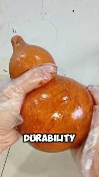 Bottle Gourd Transformation That's Actually Genius #diy #sustainable #crafts