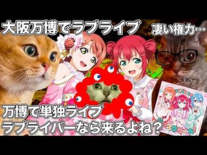 なぜか大阪万博でラブライブの単独ライブが決定し、バズり散らかす愛♡スクリ～ム！が来るか期待される【AiScReam】 #猫マニ #猫ミーム