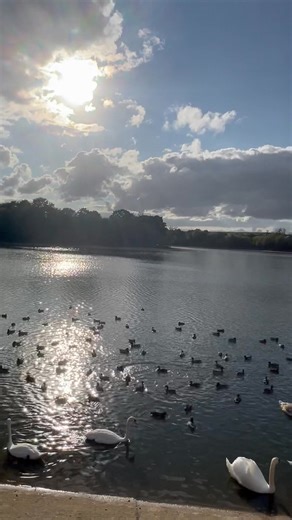 Update on Drayton and Information for Night Anglers, no Day Fishing at the moment | Drayton Reservoir weekly Updates
