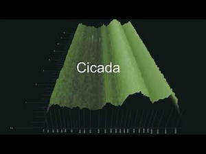 [Royalty-FREE]Japanese Cicada Sound Effect(Anime/Nature)[No Copyright]