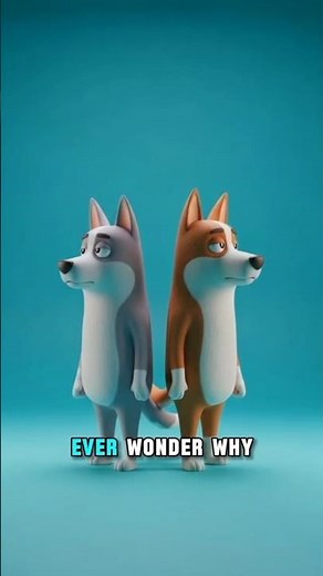 Ever Wonder Why Dogs Get Stuck After Mating? 🐶 #shorts