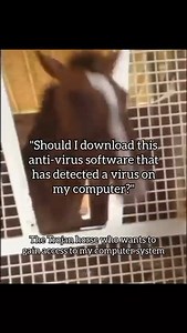 It's always the damm free anti-virus on those websites! redd.it/1lgb50x | PC Master Race.