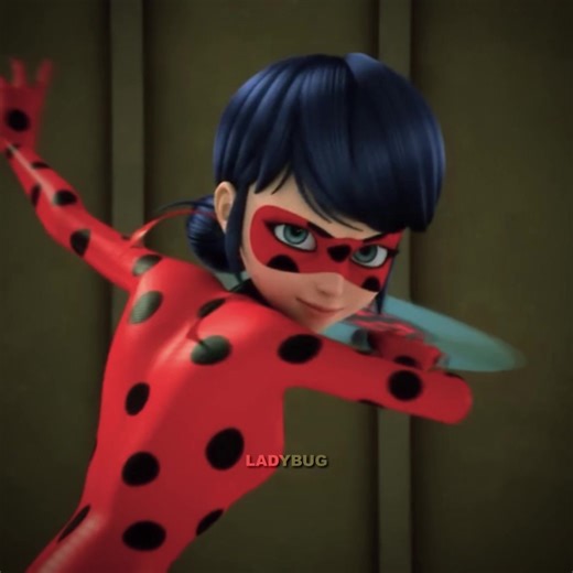 Ladybug e Cat Noir: Crescendo Juntos