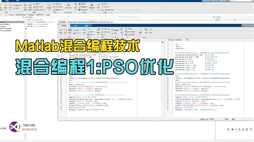 【第1章·第11节】MATLAB/C语言混合编程应用1——通过PSO粒子群优化计算函数最小值