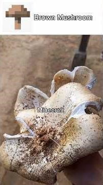 Minecraft real life meme #shorts