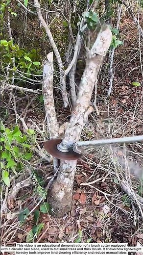 Powerful Brush Cutter Blade Cutting Small Trees