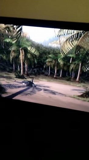 Madagascar shark chases mort