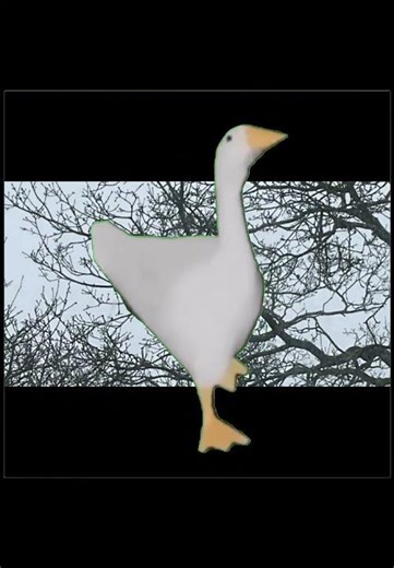 Dancing goose