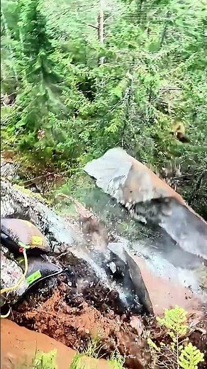 Stone Tumbles Down Slope: How Nature’s Gravity Shapes Risk and Resilience