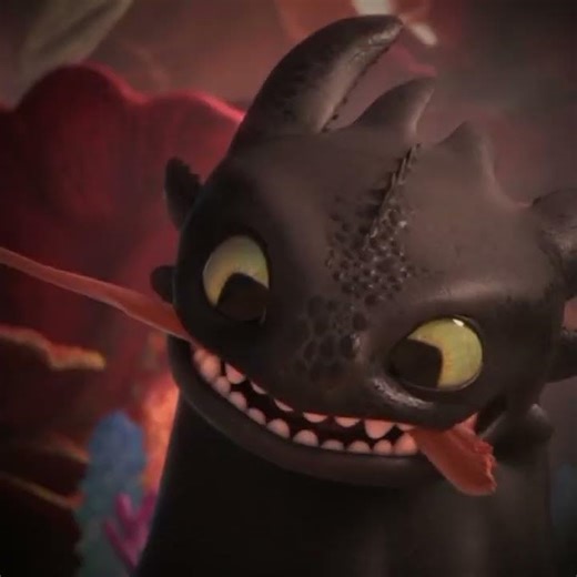 Toothless, I love him very much